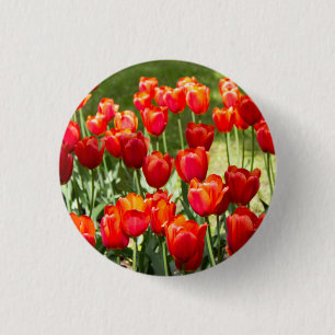 Large field of red tulips 3 cm round badge