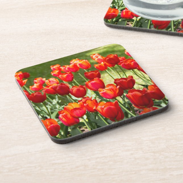 Large field of red tulips  coaster (Left Side)
