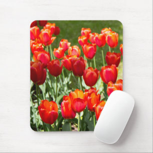 Large field of red tulips mouse pad