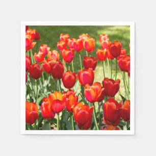 Large field of red tulips napkin
