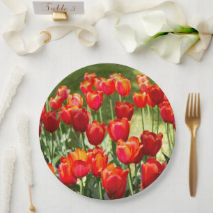 Large field of red tulips    paper plate