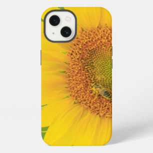 Large field of sunflowers near Moses Lake, WA 1 iPhone Case
