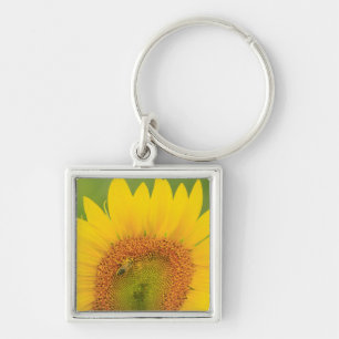 Large field of sunflowers near Moses Lake, WA 1 Key Ring