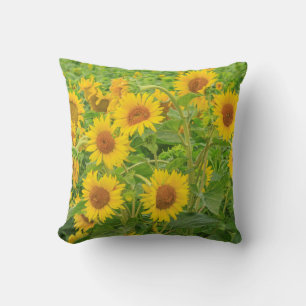 Large field of sunflowers near Moses Lake, WA 2 Cushion