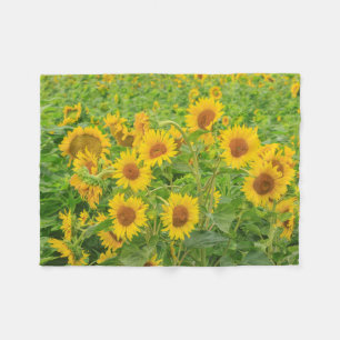 Large field of sunflowers near Moses Lake, WA 2 Fleece Blanket