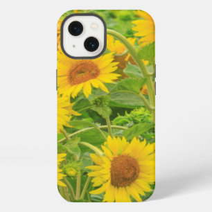 Large field of sunflowers near Moses Lake, WA 2 iPhone 13 Case