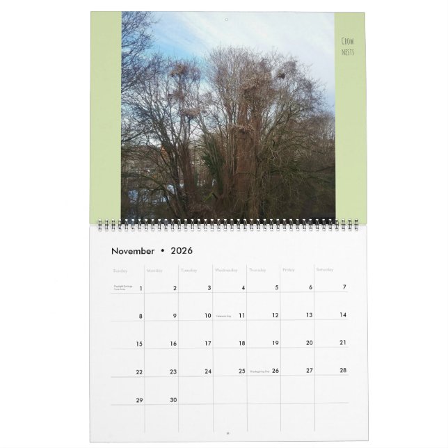 Large Flora & Fauna "Downyland" Neighbourhood Calendar (Nov 2026)
