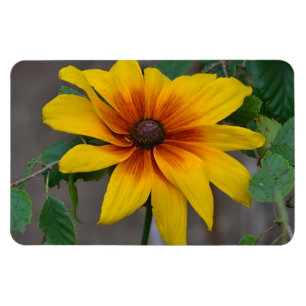 Large Flower Magnet