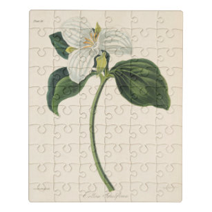 trillium wooden puzzles
