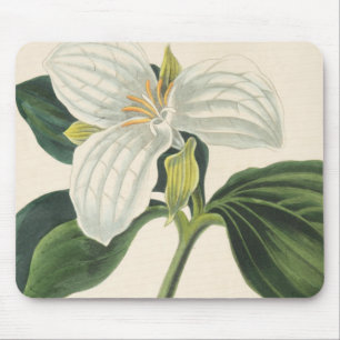 Large Flowered Trillium Mouse Pad