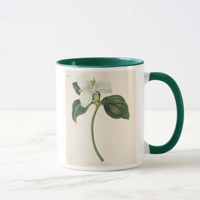 Large Flowered Trillium Mug (Right)