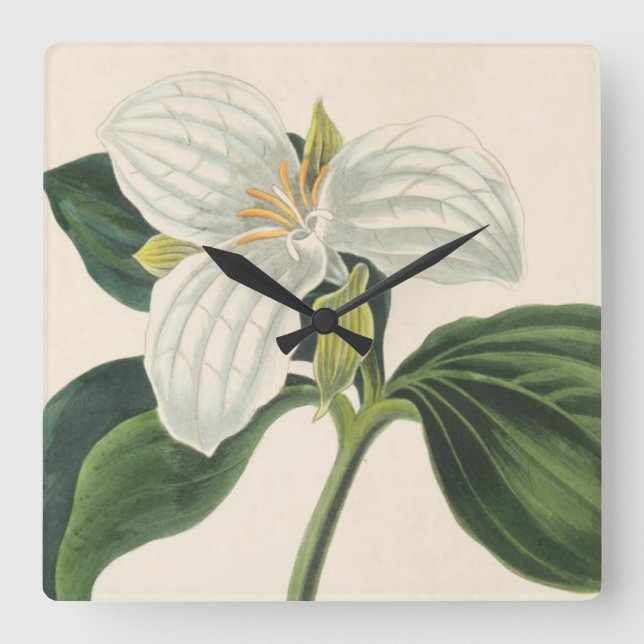 Large Flowered Trillium Square Wall Clock (Front)