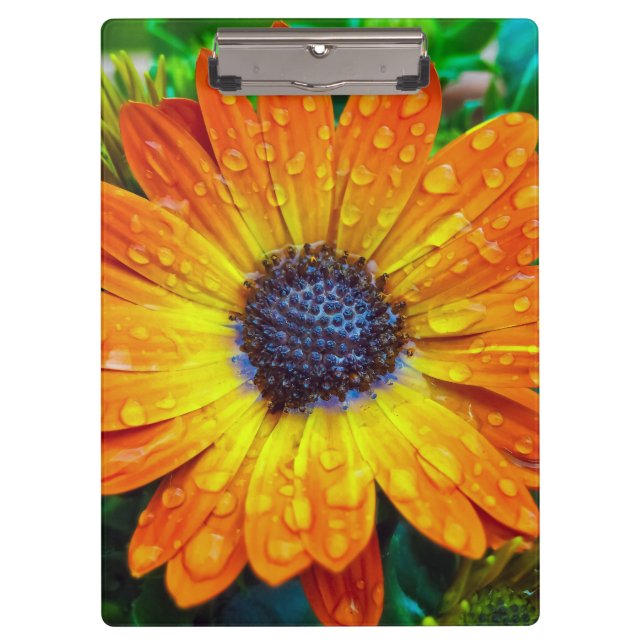 Large Golden Flower Close Up Clipboard (Front)