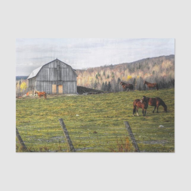 Large Grey Horse Barn  Tissue Paper (Front)