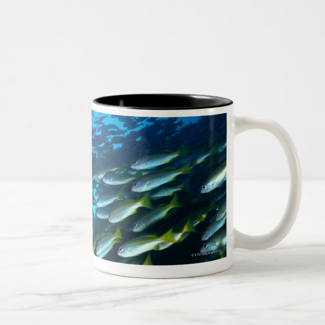 Large group of Bigeye Snapper fish swimming Two-Tone Coffee Mug (Right)