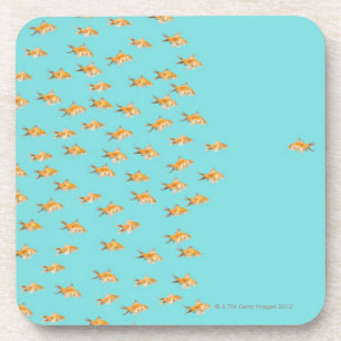 Large group of goldfish facing one lone goldfish coaster