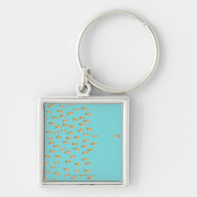 Large group of goldfish facing one lone goldfish key ring (Front)
