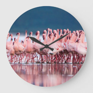 Large Group Of Lesser Flamingos Clock