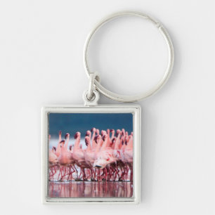 Large Group Of Lesser Flamingos Key Ring