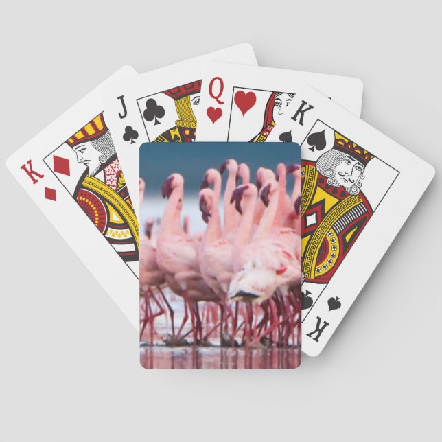 Large Group Of Lesser Flamingos Playing Cards (Back)