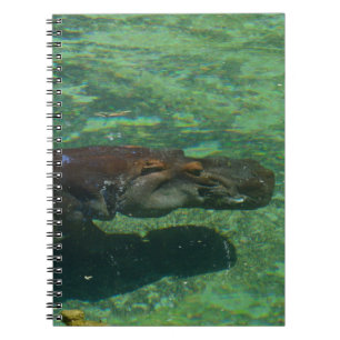 Large Hippo Swimming Under Water, Notebook