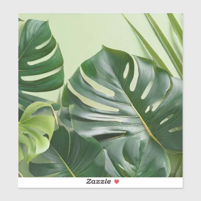 Large houseplant leaves with text space	 (Sheet)