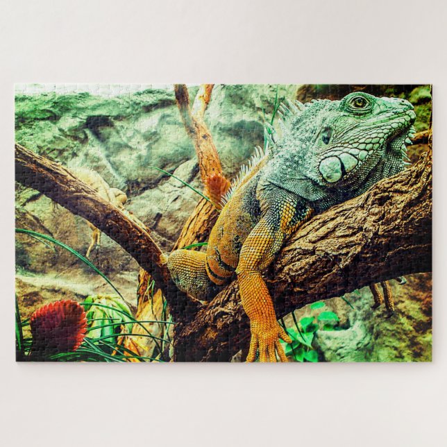 Large Iguana Jigsaw Puzzle (Horizontal)