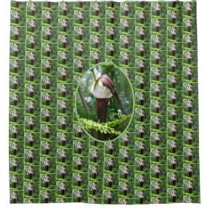 Large Jack In The Pulpit Flower Close Up Shower Curtain