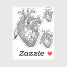 Large Labelled Vintage Anatomical Heart, Black