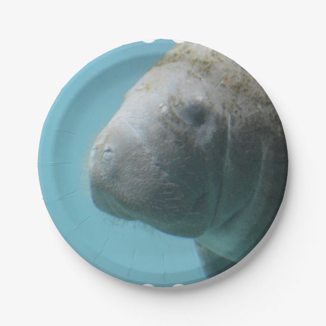 Large Manatee Underwater Paper Plate (Front)