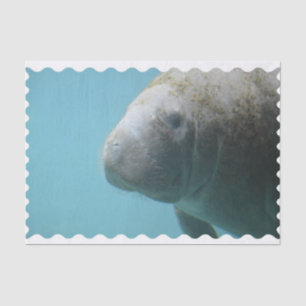 Large Manatee Underwater Tissue Paper