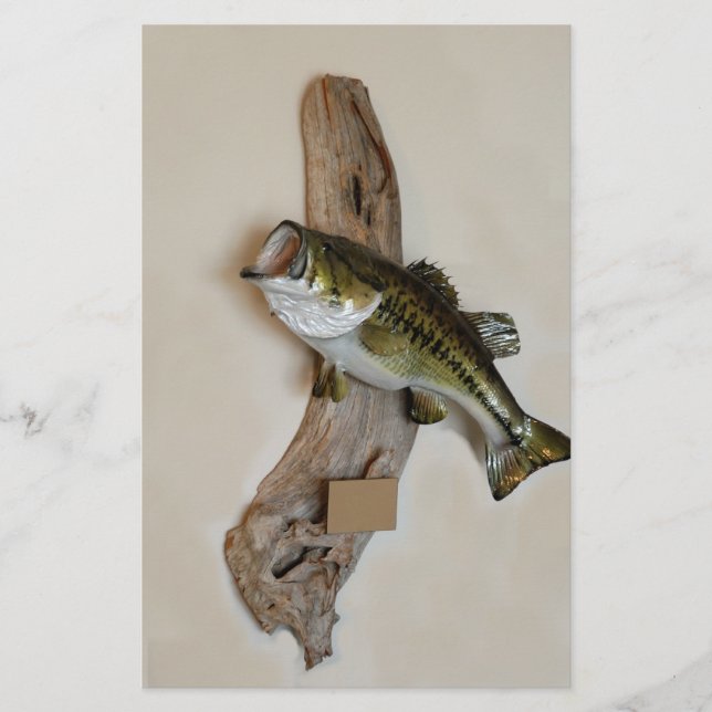 large mouth bass flyer (Front)