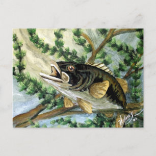 Large Mouth Bass Postcard
