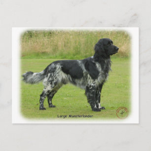 Large Munsterlander Postcard