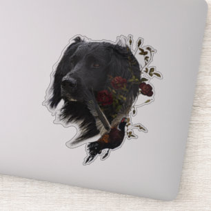 Large Munsterlander with pheasant