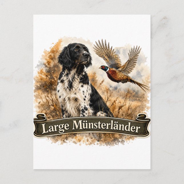 Large Münsterländer with  Pheasant Postcard (Front)