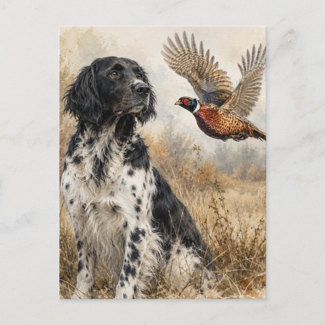 Large Münsterländer with  Pheasant Postcard (Front)