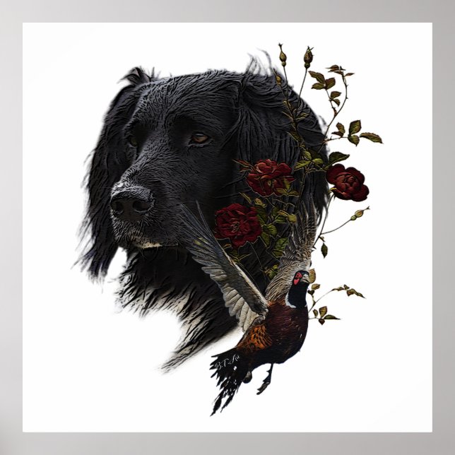 Large Munsterlander with pheasant    Poster (Front)