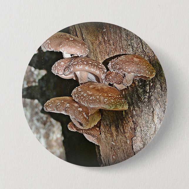 Large Mushroom Button (Front)
