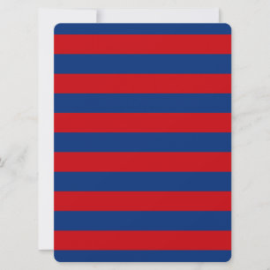 Large Nautical Theme Horizontal Stripes