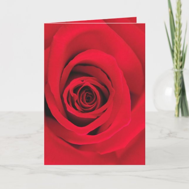 Large Open Rose Card (2) (Front)