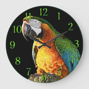 Large Orange and Teal Parrot on a Stump Clock