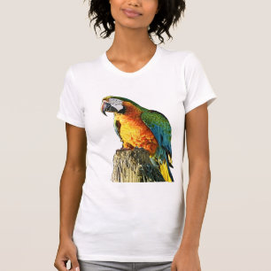 Large Orange and Teal Parrot on a Stump T-Shirt