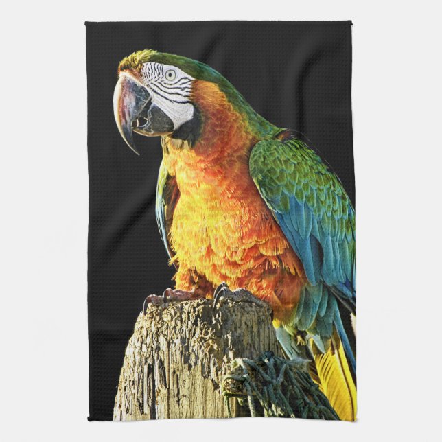 Large Orange and Teal Parrot on a Stump Tea Towel (Vertical)