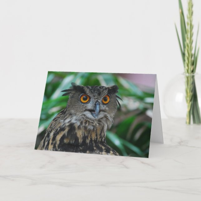Large Owl Greeting Card (Front)