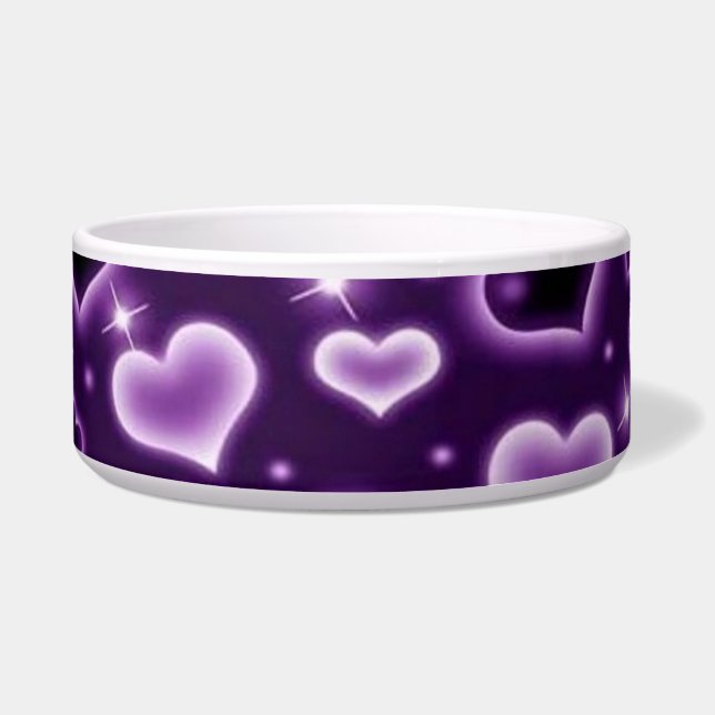 Large Pet Bowl (Front)