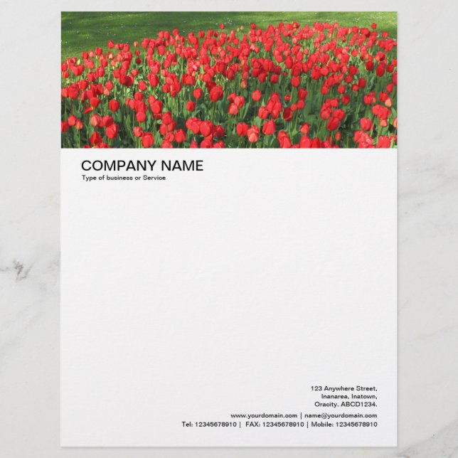 Large Picture Header - Bed of Red Tulips 02 Letterhead Design (Front)