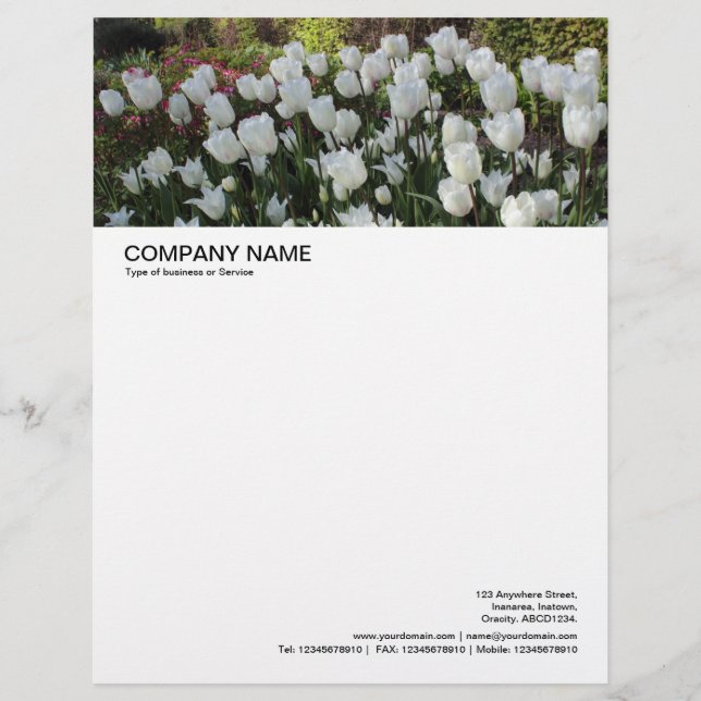 Large Picture Header - Bed of White Tulips Custom Letterhead (Front)