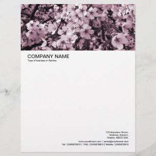 Large Picture Header - Cherry Blossom Letterhead