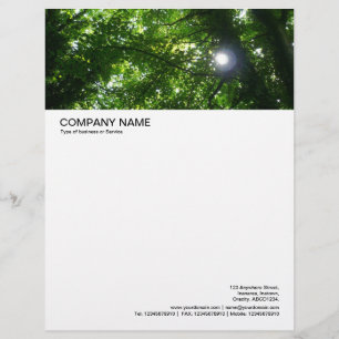 Large Picture Header - Sun Shining Through Trees Custom Letterhead